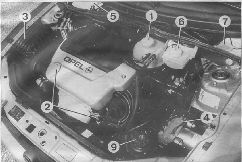 Opel Corsa. Compartiment moteur 1.61