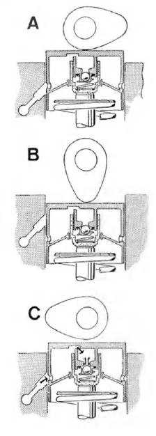 Phases de fonctionnement d'un poussoir hydraulique.
